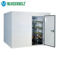 Vegetable Cold Store, Walk in Freezer with Monoblock Unit, Mini Cold Store