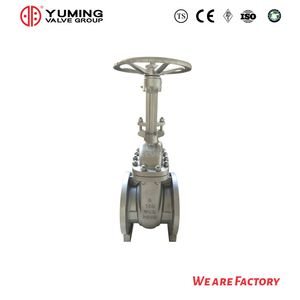 Wcb Stainless Steel Ductile Iron Wedge Rising Stem Single Gate Valve