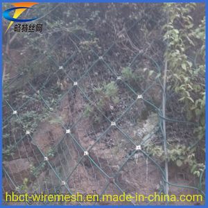 Factory Wholesale Diamond Shaped Hillside Protection Net Against Rockfall
