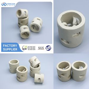 Multi-Size 25-80mm Ceramic Pall Ring for Absorption Tower Random Packing