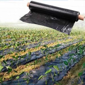 Ground Covering Agricultural PE Film Plastic Mulch Film Mulch Sheet for Agriculture