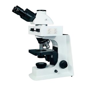CE Certified Fluorescent Microscope for Enhanced Biological Analysis