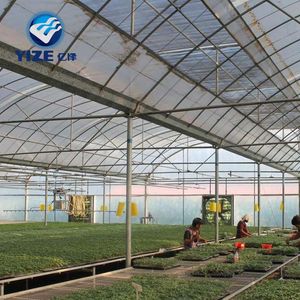 Factory Manufacture Hot Dipped Galvanized Seedbed for Greenhouse