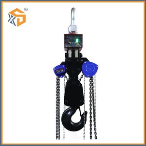 Vd Manuel Chain Hoist Hand Pulled Weighing Integrated Block 50t
