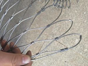 Stainless Steel Wire Rope/Cable Mesh Used in Zoos