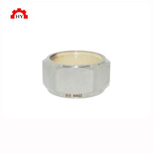Stainless Steel 316 Ferrule Nut for Compression Pipe Fitting Carbon Steel Zinc Plated Hexagon Bolt and Nut