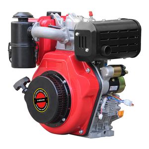 Newland 186fa 10HP Washer Car Machine Diesel Engine