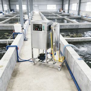 OEM Ozone Generator for Effective Water Purification Deodorization Odor Removal in Farms