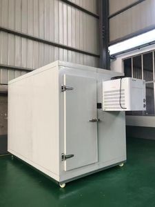 Advanced Industrial Cold Storage Freezer with Custom Cooling Solutions for Vegetable and Fruits