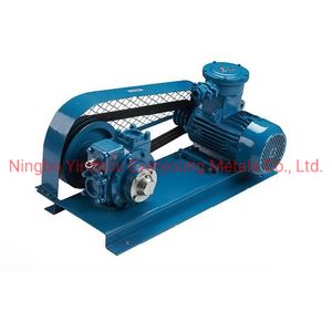 Yb V-Belt Drive Direct Coupling Drive Vane Pump