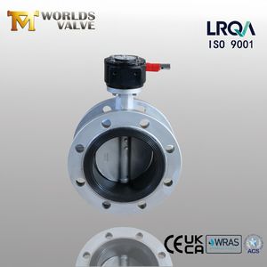 CF8 304 CF8m 316 Duplex Ss 2205 2507 Double Flange Butterfly Valve