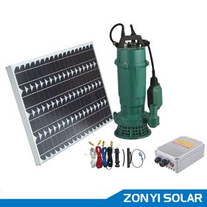 DC 48V Solar Swimming Pump for Irrigation with Cable Controler
