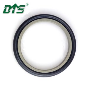 Gzt - High Quality PTFE Hydraulic Rod Seal with NBR/FKM O-Ring