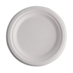 10inch Disposable Tableware Eco-Friendly Bagasse Food Container Round Paper Plate