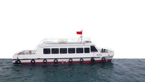 19m Aluminum Catamaran Passenger Boat with 49 Passengers