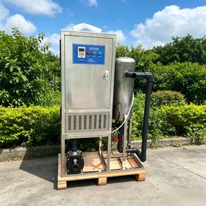 Factory 10g-100g Oxygen Resource Ozone Machine Ozonated Water System Ozone Generator for Water Treatment