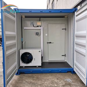 Hot Sale 20FT Meat Container Cold Storage Room with Low Price