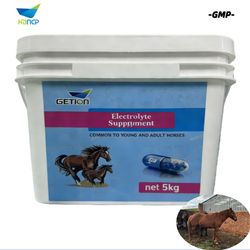 China GMP Factory Supply Electrolyte Supplements for Horse