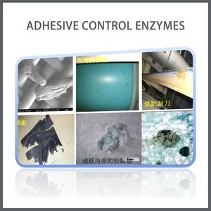 a More Cost-Effective Alternative to Traditional Adhesive Control Agents Adhesive Control Enzymes