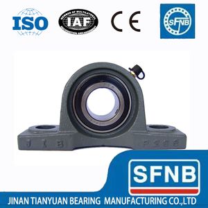 Ucp204 Pillow Block Mounted Bearing, 2 Bolt, 3/4" Inside Diameter, Set Screw Lock, Cast Iron, Metric
