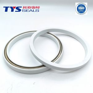 Customized Spring Energized PTFE Seals for Hydraulic