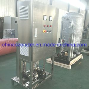 3 Ton High Cencentration Ozone Water Equipment for Water Treatment, Aquaculture, Sterilization, Semiconductor Industry