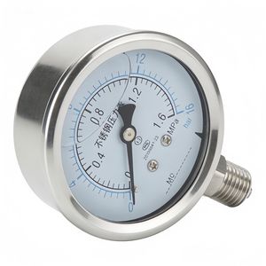 Stable Waterproof Dust-Proof Pressure Gauge for Boiler