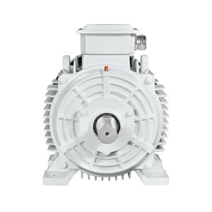 Ye5-80m1-8 0.18kw 650rpm Ye5 Ultra-High Efficiency Three-Phase Motor for Fans Pumps