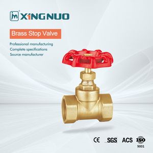Premium Brass Stop Valve DN15-DN100 Pn16/Pn25 One Way Valve