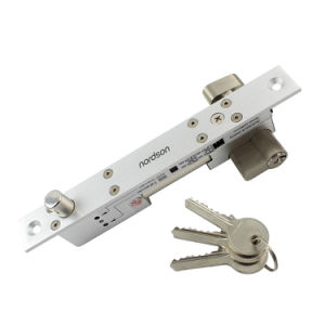 Adjustable Mode Fail-Secure&Fail-Safe Full Solid Stainless Steel Micro Dead Bolt Lock with Emergency Key