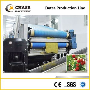 Blueberry Puree Juice Production Processing Making Line