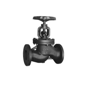 Heavy-Duty Cast Iron Water Globe Valve for Fluid Management