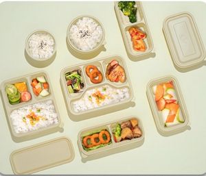 Disposable Eco-Friendly Biodegradable Fast Food Box with Lid