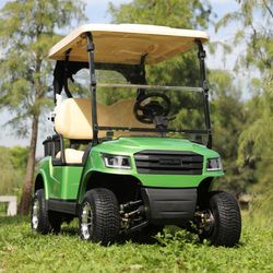 AC Motor 2 Seats Small Mini Golf Club Cheap Electric EV Buggy Car Vehicle Cart