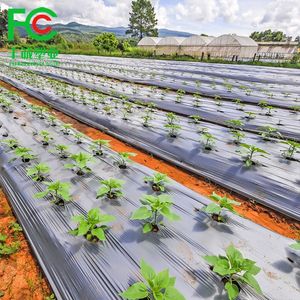 Mulching Biodegradable Agricultural Black Plastic Mulch Film
