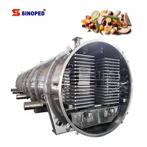 Industrial Vacuum Dryer/Vacuum Tray Dryer for Fruit and Vegetable