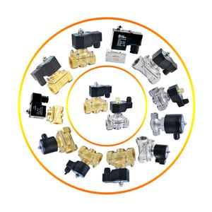 Electric Micro 220V 24VDC Brass Latching Irrigation Solenoid Valve