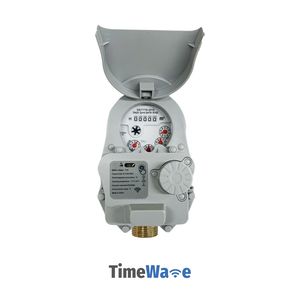 DN25 Lora/Lorawan Smart Cold Water Flowmeter with Prepaid Remote Control and Non-Valve Control, Iron Shell