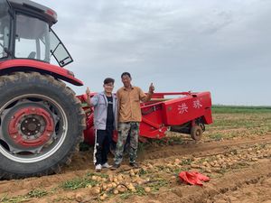 Hongzhu Factory Agricultural Machinery Tractor Farm 4u-180d Potato Harvester