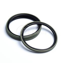 PTFE Hydraulic Seal Glydring with NBR70 O Ring Piston Rubber---Gsf