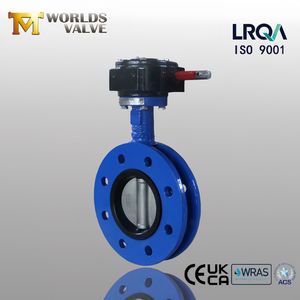 Nodular Cast Iron Ductile Iron U Type Double Flange Butterfly Valve with CE ISO Wras Certificate Loose Liner Replaceable Seat