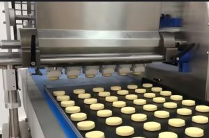 Semi-Automatic Tray Cookie Machine Small Cookie Froming Machine Commercial Cookie Making Machine