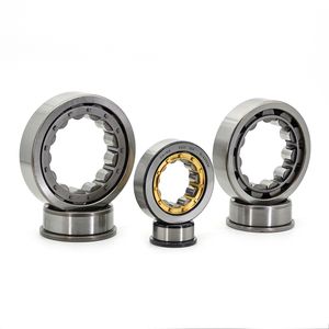 Industrial High Precision Cylindrical Roller Bearing N205 25X52X15mm