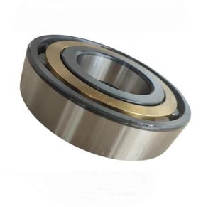 Single Row Cylindrical Roller Bearings Nu221, Nu321, Nu222, Nu2222, Nu322, Nu2322 for Electric Motor, Gearbox, Reducer, Compressor