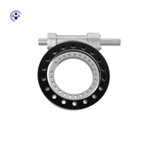 Worm Drive Slewing Rings Slew Drive