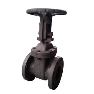 ANSI 125# 150# JIS 5K 10K 16K Cast Iron Gate Valve with Rising Stem OS&Y Brass Bronze Seal Gate Valve