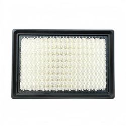 Wholesale Customized Auto Spare Parts Panel Cabin Air Filter At191102 Af55770