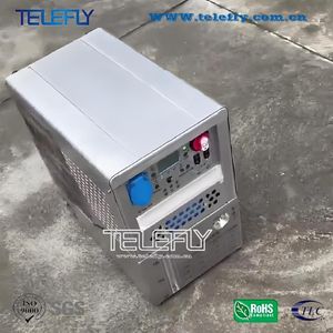 3kw Small Diesel Generator TF-Dg3000 Portable Diesel Generator