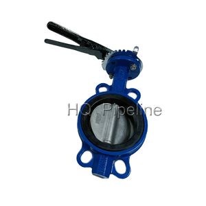 Class150 Ductile Iron Cast Iron Wafer or Lug Type Butterfly Valve 316ss Disc