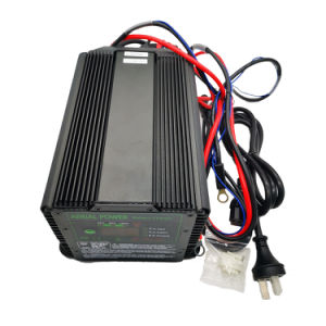 Hnarl Jlg Parts 1001103105 Charger Battery 48V Used for E300 E400 E600